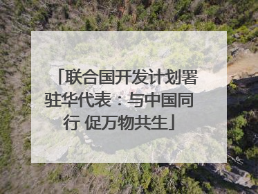 联合国开发计划署驻华代表：与中国同行 促万物共生