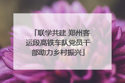 联学共建 郑州客运段高铁车队党员干部助力乡村振兴