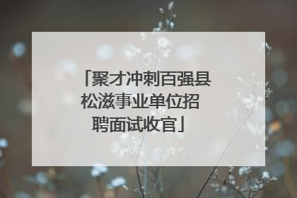 聚才冲刺百强县 松滋事业单位招聘面试收官