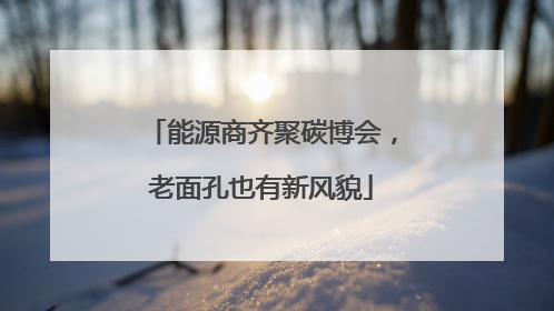 能源商齐聚碳博会，老面孔也有新风貌