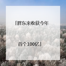 胖东来收获今年首个100亿