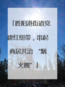 胜阳港街道党建红纽带，串起商居共治 “烟火圈”