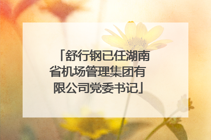 舒行钢已任湖南省机场管理集团有限公司党委书记