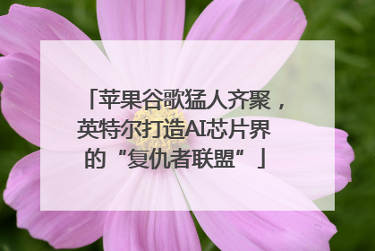 苹果谷歌猛人齐聚，英特尔打造AI芯片界的“复仇者联盟”