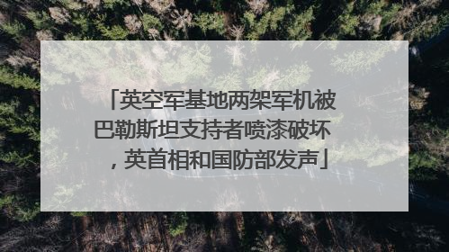 英空军基地两架军机被巴勒斯坦支持者喷漆破坏，英首相和国防部发声