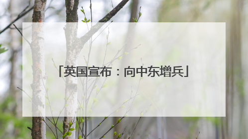 英国宣布：向中东增兵