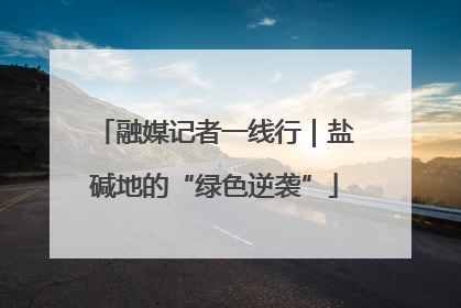 融媒记者一线行｜盐碱地的“绿色逆袭”