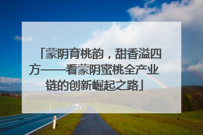 蒙阴育桃韵，甜香溢四方——看蒙阴蜜桃全产业链的创新崛起之路