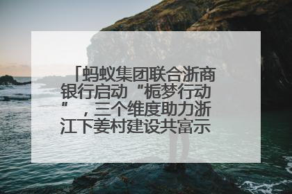 蚂蚁集团联合浙商银行启动“栀梦行动”，三个维度助力浙江下姜村建设共富示范区示范点