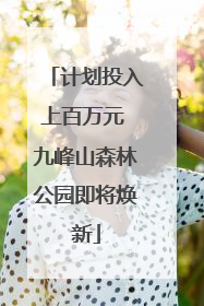计划投入上百万元 九峰山森林公园即将焕新
