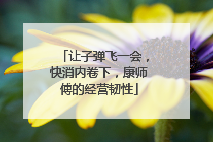 让子弹飞一会，快消内卷下，康师傅的经营韧性