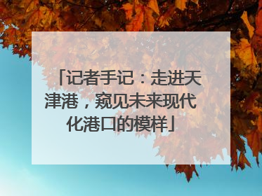 记者手记：走进天津港，窥见未来现代化港口的模样