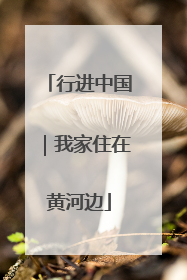 行进中国｜我家住在黄河边