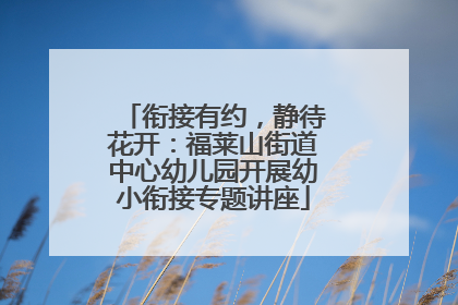 衔接有约，静待花开：福莱山街道中心幼儿园开展幼小衔接专题讲座
