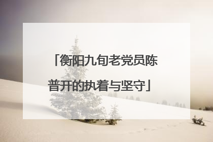 衡阳九旬老党员陈普开的执着与坚守