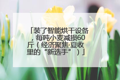装了智能烘干设备，每吨小麦减损60斤（经济聚焦·夏收里的“新选手”）