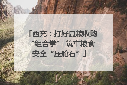 西充：打好夏粮收购“组合拳” 筑牢粮食安全“压舱石”