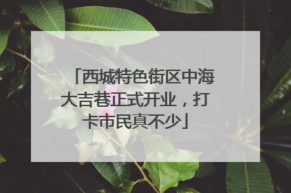 西城特色街区中海大吉巷正式开业，打卡市民真不少