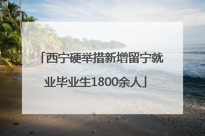 西宁硬举措新增留宁就业毕业生1800余人