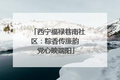 西宁福禄巷南社区：粽香传廉韵 党心映端阳