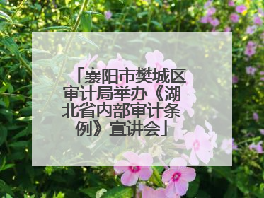 襄阳市樊城区审计局举办《湖北省内部审计条例》宣讲会