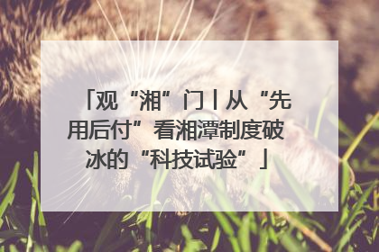 观“湘”门丨从“先用后付”看湘潭制度破冰的“科技试验”