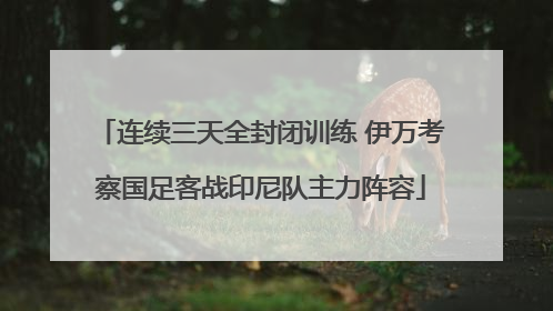 连续三天全封闭训练 伊万考察国足客战印尼队主力阵容