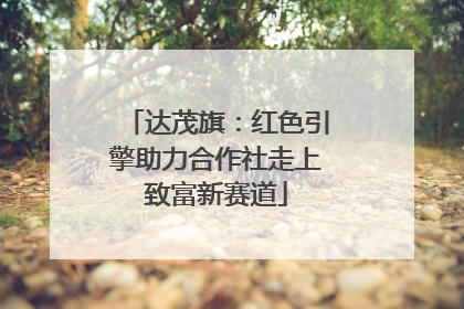 达茂旗：红色引擎助力合作社走上致富新赛道