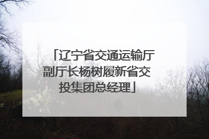 辽宁省交通运输厅副厅长杨树履新省交投集团总经理