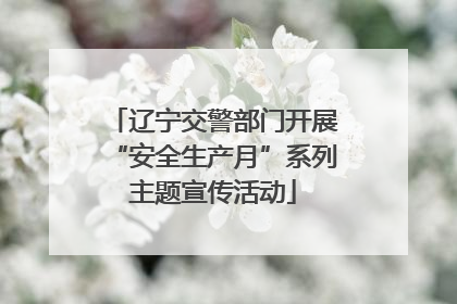 辽宁交警部门开展“安全生产月”系列主题宣传活动