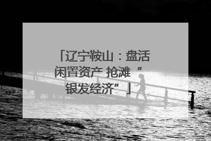 辽宁鞍山：盘活闲置资产 抢滩“银发经济”