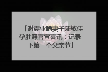 谢震业晒妻子陆敏佳孕肚照官宣喜讯：记录下第一个父亲节