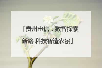 贵州电信：数智探索新路 科技智造农景