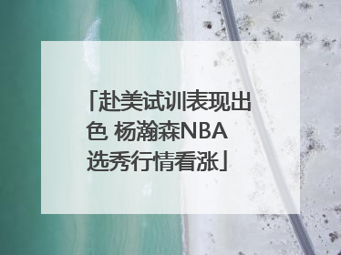 赴美试训表现出色 杨瀚森NBA选秀行情看涨