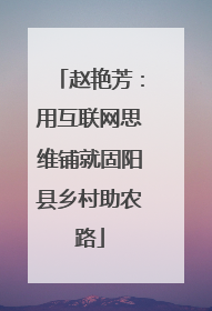 赵艳芳：用互联网思维铺就固阳县乡村助农路
