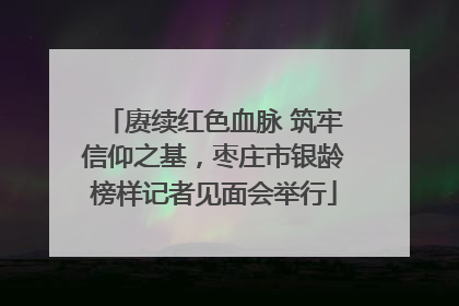 赓续红色血脉 筑牢信仰之基，枣庄市银龄榜样记者见面会举行