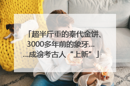 超半斤重的秦代金饼、3000多年前的象牙……成渝考古人“上新”
