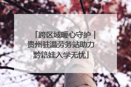 跨区域暖心守护｜贵州驻温劳务站助力黔籍娃入学无忧