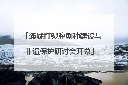 通城打锣腔剧种建设与非遗保护研讨会开幕