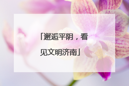 邂逅平阴，看见文明济南