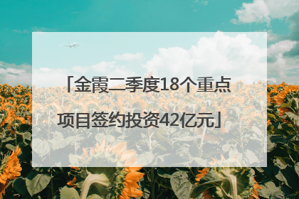 金霞二季度18个重点项目签约投资42亿元
