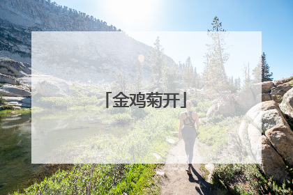 金鸡菊开