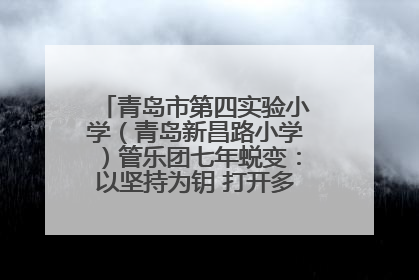 青岛市第四实验小学（青岛新昌路小学）管乐团七年蜕变：以坚持为钥 打开多元成长之门