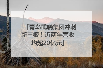 青岛武晓集团冲刺新三板！近两年营收均超20亿元