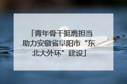 青年骨干挺膺担当 助力安徽省阜阳市“东北大外环”建设