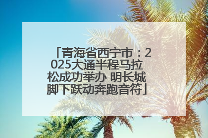 青海省西宁市：2025大通半程马拉松成功举办 明长城脚下跃动奔跑音符