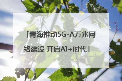 青海推动5G-A万兆网络建设 开启AI+时代
