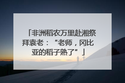 非洲稻农万里赴湘祭拜袁老：“老师，冈比亚的稻子熟了”