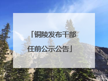 铜陵发布干部任前公示公告