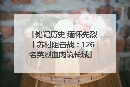 铭记历史 缅怀先烈丨苏村阻击战：126名英烈血肉筑长城